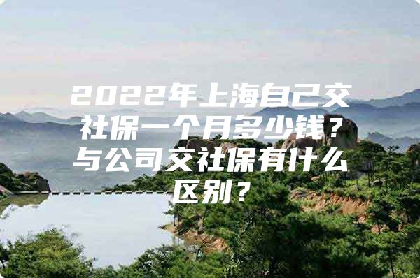 2022年上海自己交社保一个月多少钱？与公司交社保有什么区别？