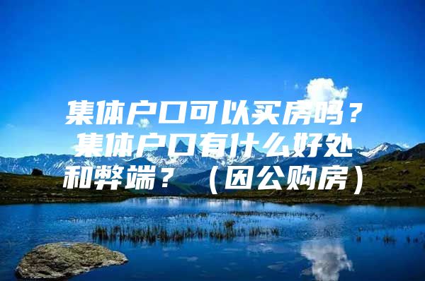 集体户口可以买房吗？集体户口有什么好处和弊端？（因公购房）