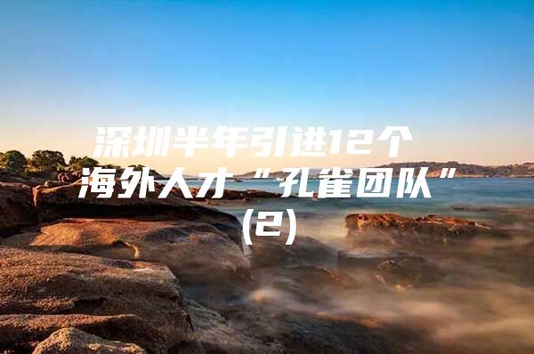 深圳半年引进12个 海外人才“孔雀团队”(2)