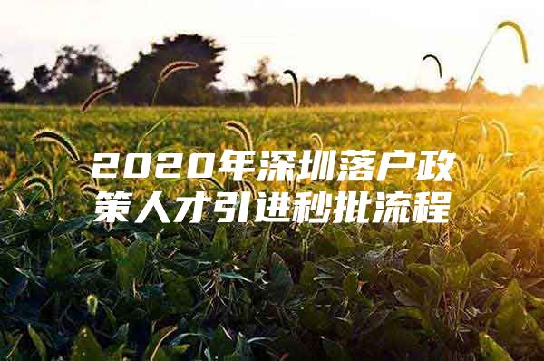 2020年深圳落户政策人才引进秒批流程