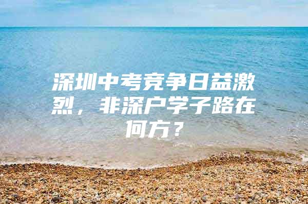 深圳中考竞争日益激烈，非深户学子路在何方？