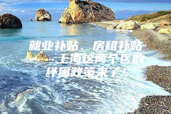 就业补贴、房租补贴……上海这两个区的纾困政策来了！