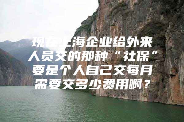 现在上海企业给外来人员交的那种“社保”要是个人自己交每月需要交多少费用啊？