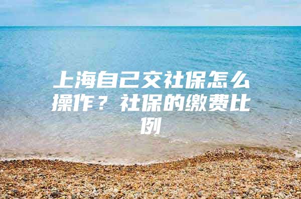 上海自己交社保怎么操作？社保的缴费比例