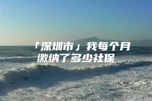 「深圳市」我每个月缴纳了多少社保