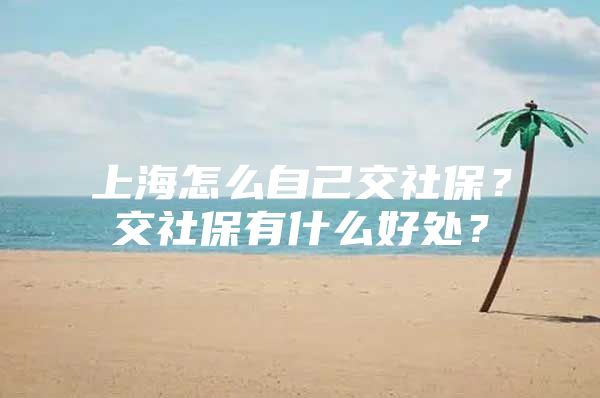 上海怎么自己交社保？交社保有什么好处？