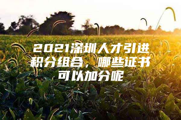 2021深圳人才引进积分组合，哪些证书可以加分呢