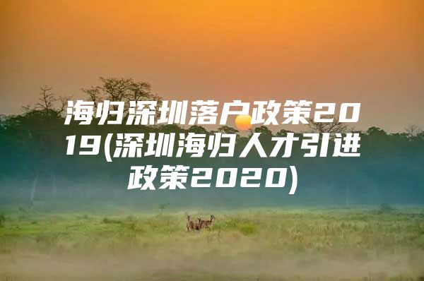 海归深圳落户政策2019(深圳海归人才引进政策2020)