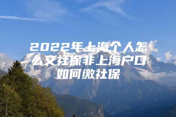 2022年上海个人怎么交社保非上海户口如何缴社保