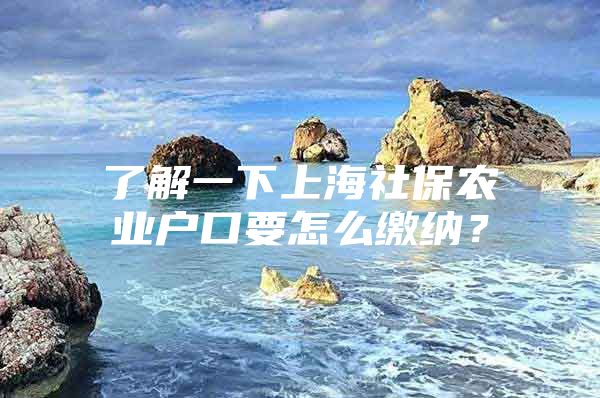 了解一下上海社保农业户口要怎么缴纳？