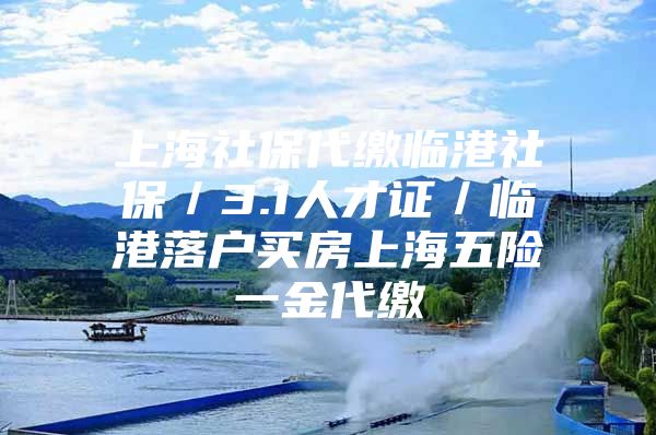 上海社保代缴临港社保／3.1人才证／临港落户买房上海五险一金代缴