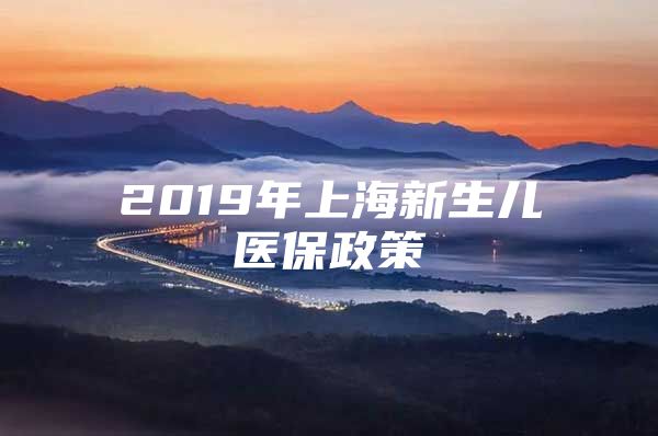 2019年上海新生儿医保政策