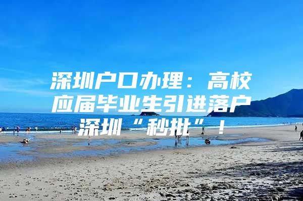 深圳户口办理：高校应届毕业生引进落户深圳“秒批”！