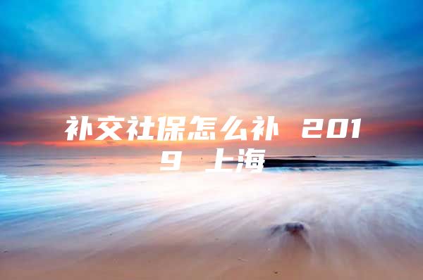 补交社保怎么补 2019 上海