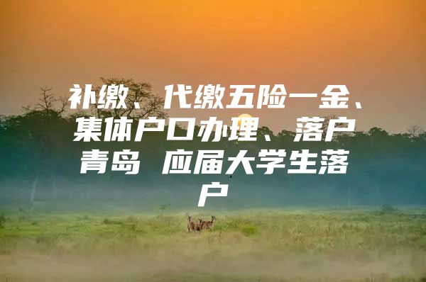 补缴、代缴五险一金、集体户口办理、落户青岛 应届大学生落户