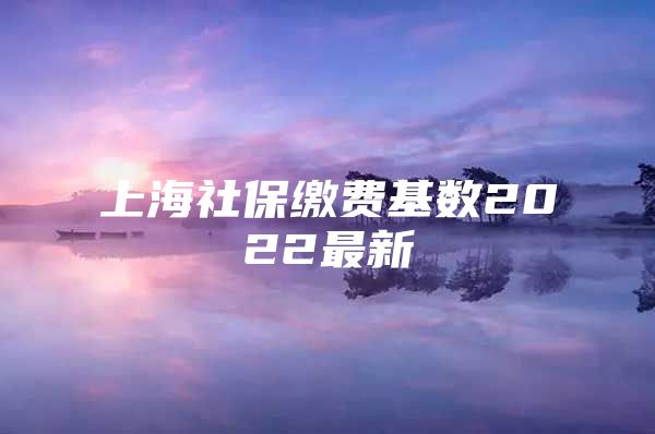 上海社保缴费基数2022最新