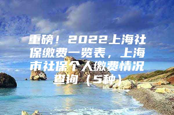 重磅！2022上海社保缴费一览表，上海市社保个人缴费情况查询（5种）