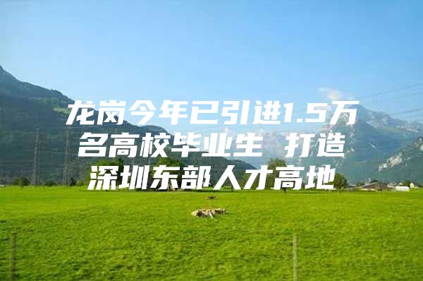 龙岗今年已引进1.5万名高校毕业生 打造深圳东部人才高地