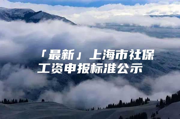 「最新」上海市社保工资申报标准公示