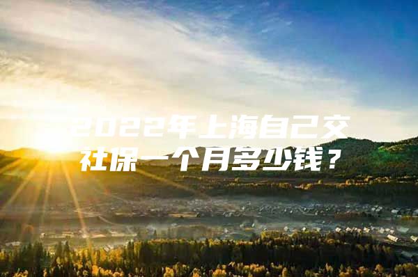 2022年上海自己交社保一个月多少钱？