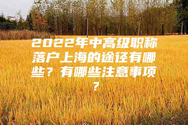 2022年中高级职称落户上海的途径有哪些？有哪些注意事项？