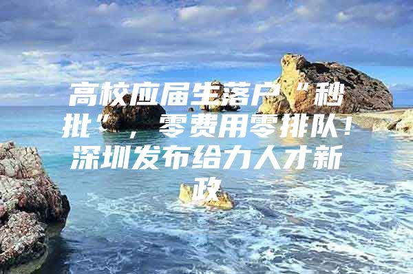 高校应届生落户“秒批”，零费用零排队！深圳发布给力人才新政