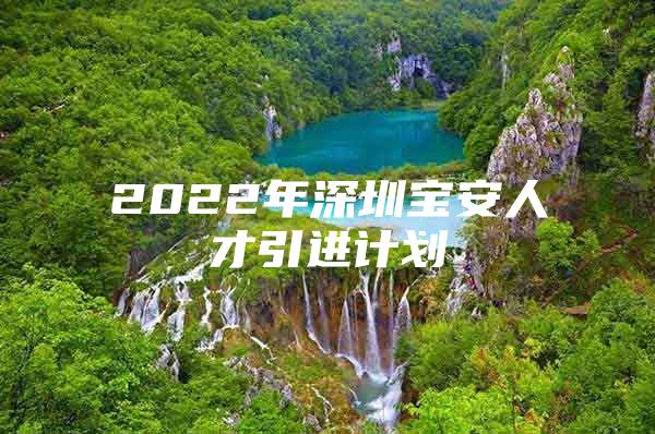 2022年深圳宝安人才引进计划