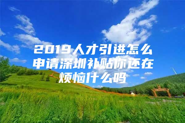 2019人才引进怎么申请深圳补贴你还在烦恼什么吗