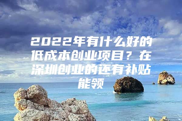 2022年有什么好的低成本创业项目？在深圳创业的还有补贴能领