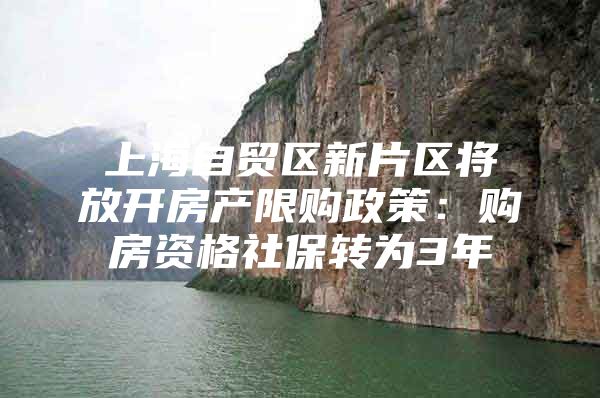 上海自贸区新片区将放开房产限购政策：购房资格社保转为3年