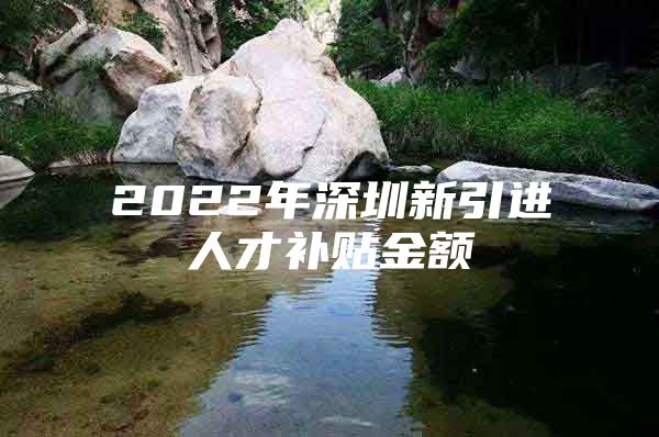 2022年深圳新引进人才补贴金额