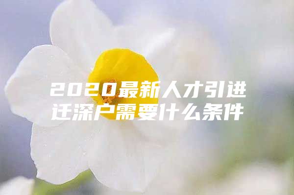 2020最新人才引进迁深户需要什么条件