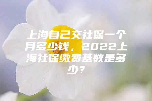 上海自己交社保一个月多少钱，2022上海社保缴费基数是多少？