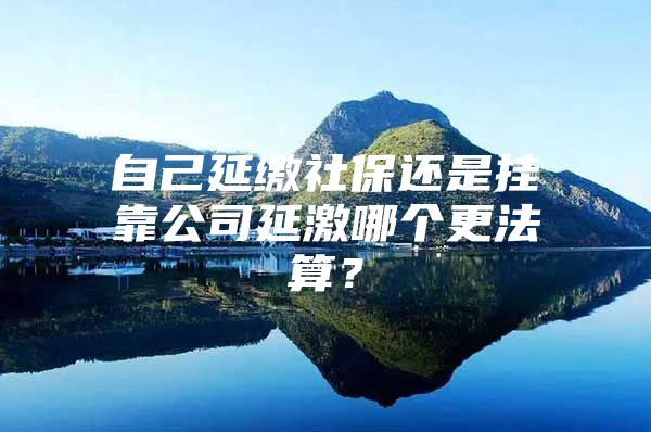 自己延缴社保还是挂靠公司延激哪个更法算？