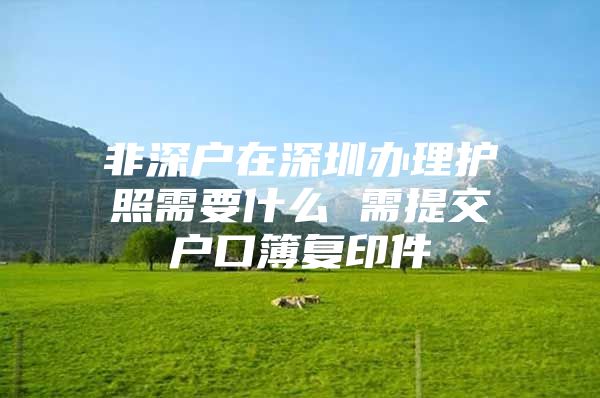 非深户在深圳办理护照需要什么 需提交户口簿复印件