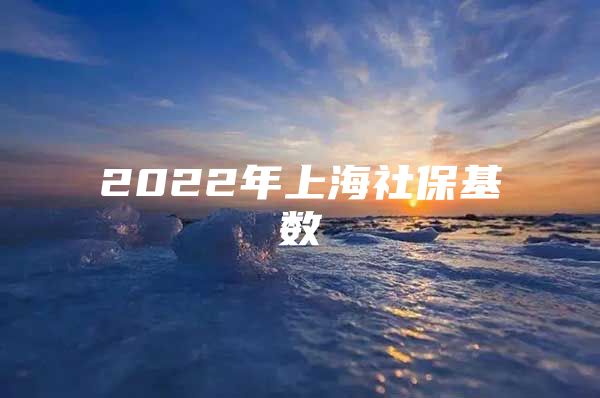 2022年上海社保基数