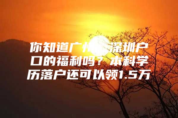 你知道广州，深圳户口的福利吗？本科学历落户还可以领1.5万