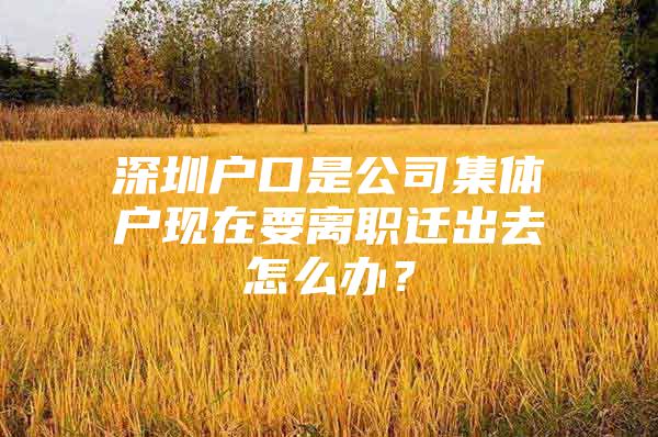 深圳户口是公司集体户现在要离职迁出去怎么办？