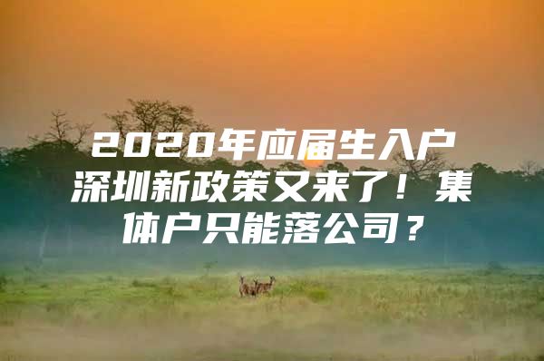 2020年应届生入户深圳新政策又来了！集体户只能落公司？