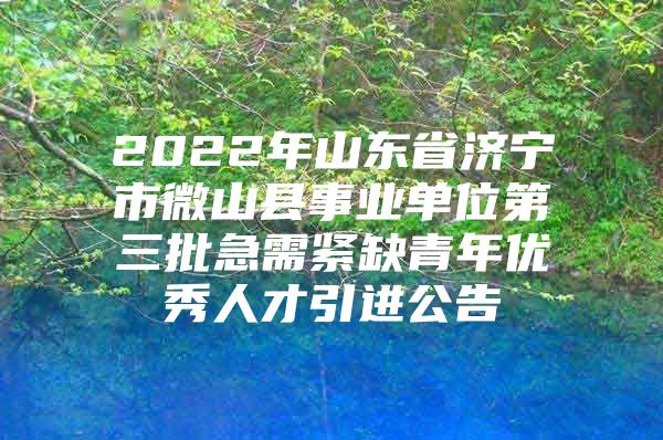 2022年山东省济宁市微山县事业单位第三批急需紧缺青年优秀人才引进公告