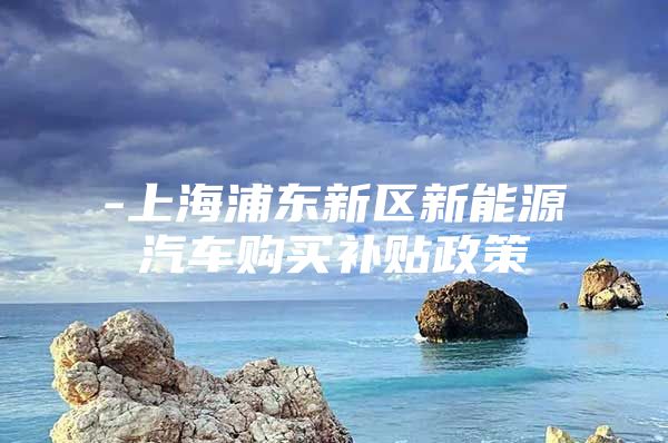 -上海浦东新区新能源汽车购买补贴政策