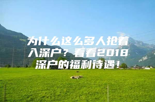 为什么这么多人抢着入深户？看看2018深户的福利待遇！