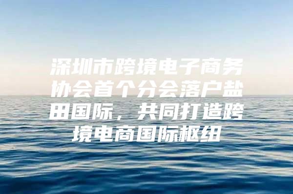 深圳市跨境电子商务协会首个分会落户盐田国际，共同打造跨境电商国际枢纽