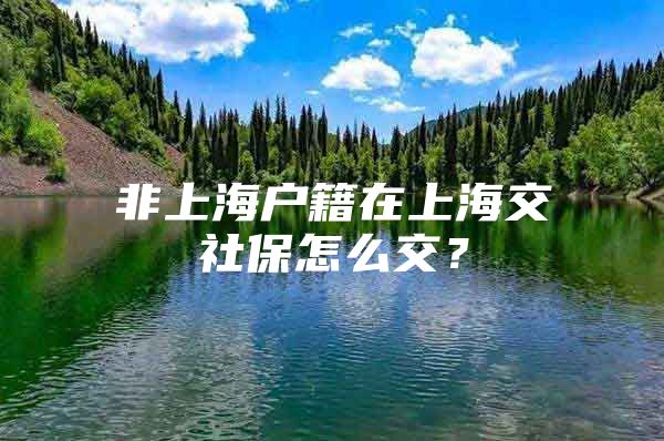 非上海户籍在上海交社保怎么交？