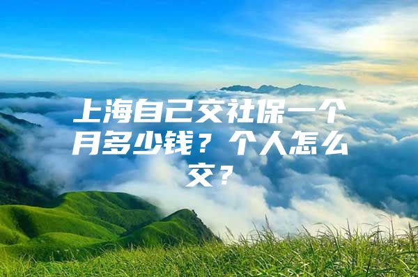 上海自己交社保一个月多少钱？个人怎么交？