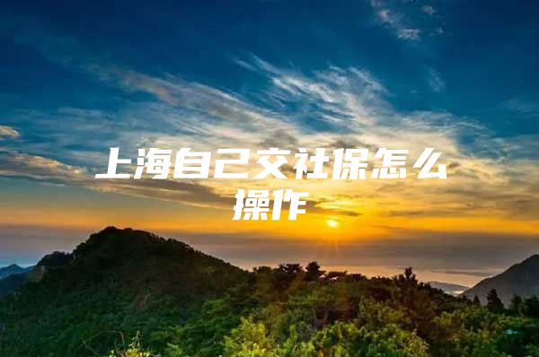 上海自己交社保怎么操作