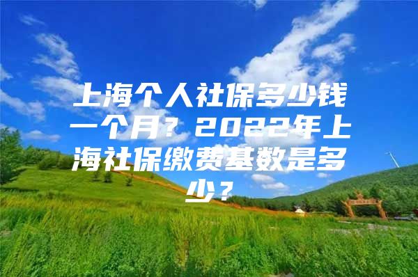 上海个人社保多少钱一个月？2022年上海社保缴费基数是多少？