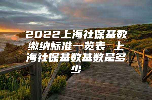 2022上海社保基数缴纳标准一览表 上海社保基数基数是多少