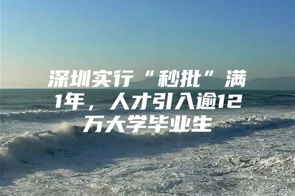 深圳实行“秒批”满1年，人才引入逾12万大学毕业生