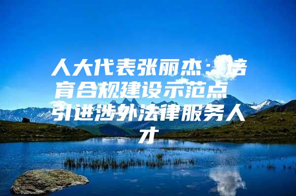 人大代表张丽杰：培育合规建设示范点 引进涉外法律服务人才